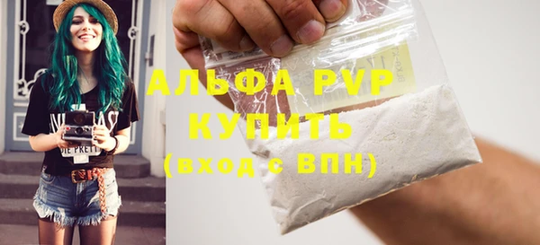 стафф Осташков
