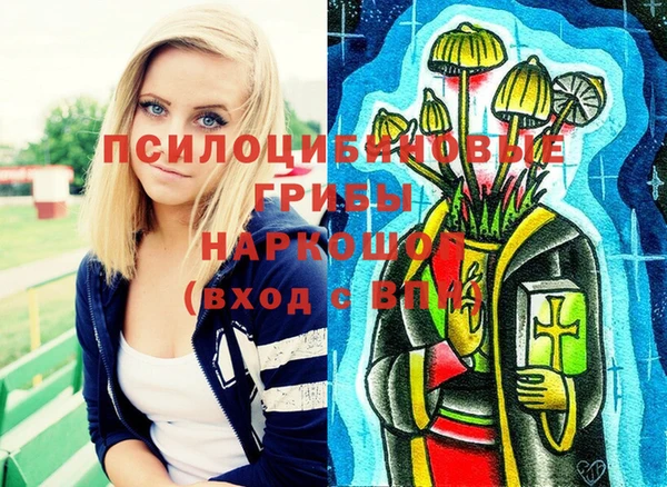 стафф Осташков