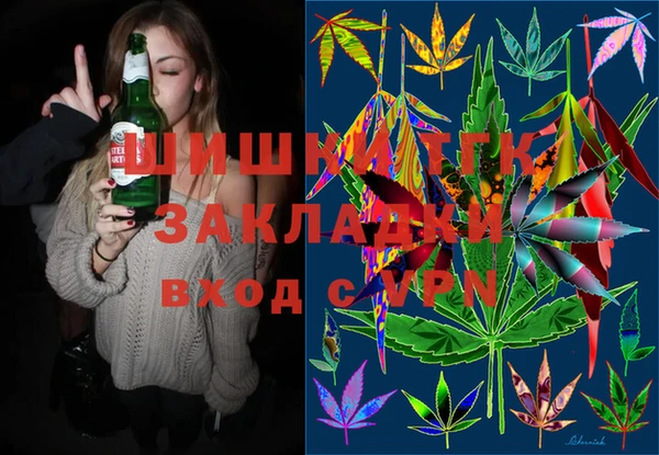 стафф Осташков