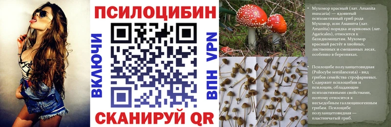 Галлюциногенные грибы Psilocybine cubensis  Правдинск 